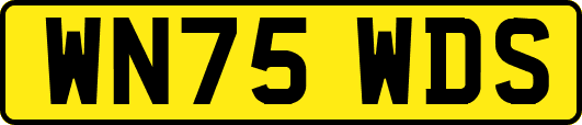 WN75WDS