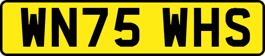 WN75WHS