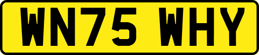 WN75WHY