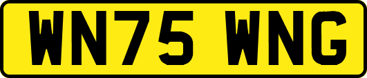 WN75WNG