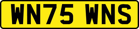 WN75WNS