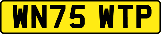 WN75WTP