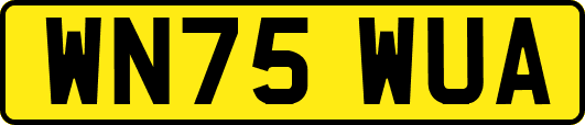 WN75WUA