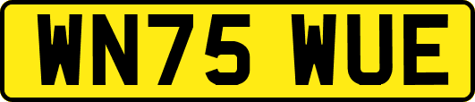 WN75WUE