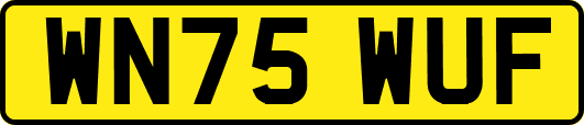 WN75WUF