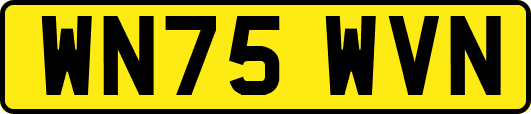 WN75WVN