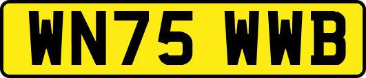WN75WWB