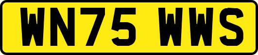 WN75WWS