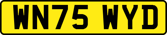 WN75WYD