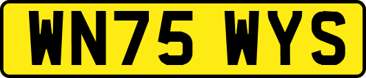 WN75WYS