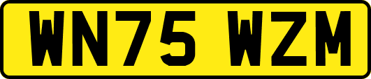WN75WZM