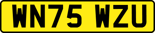 WN75WZU