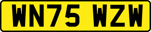 WN75WZW
