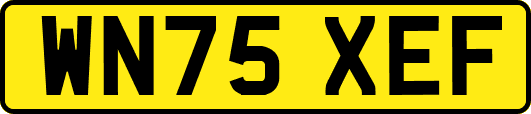 WN75XEF