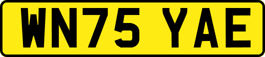 WN75YAE