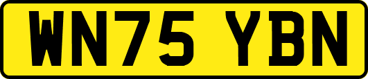 WN75YBN
