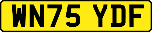 WN75YDF