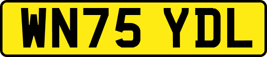 WN75YDL