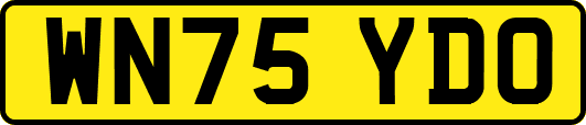 WN75YDO