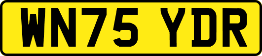 WN75YDR
