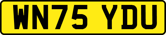 WN75YDU
