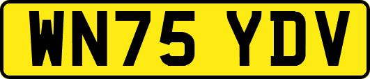 WN75YDV