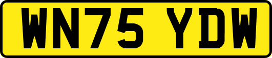 WN75YDW