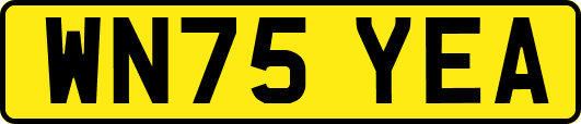 WN75YEA
