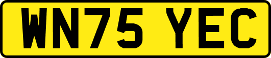WN75YEC