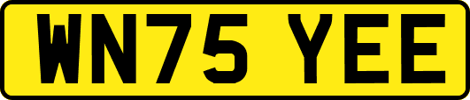 WN75YEE