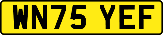 WN75YEF