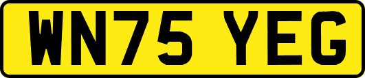 WN75YEG