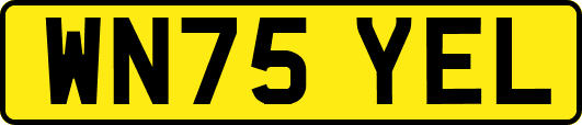 WN75YEL