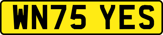 WN75YES