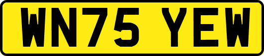 WN75YEW