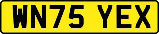 WN75YEX
