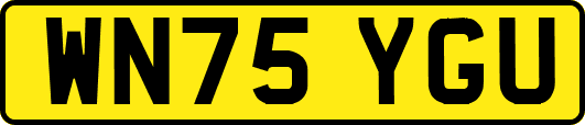 WN75YGU