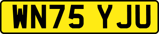 WN75YJU