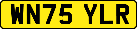 WN75YLR