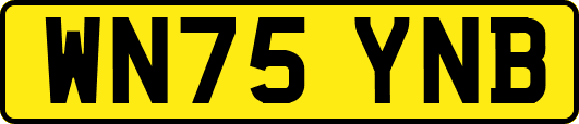 WN75YNB