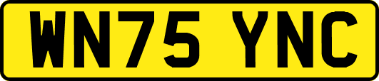 WN75YNC