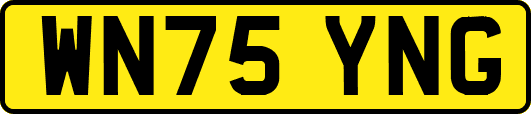 WN75YNG