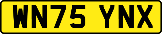 WN75YNX