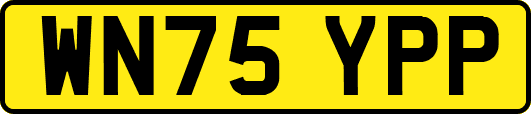 WN75YPP