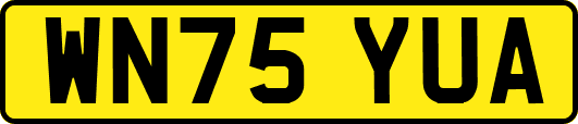 WN75YUA
