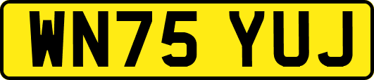 WN75YUJ