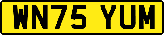 WN75YUM