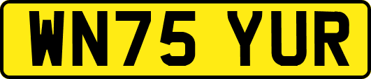 WN75YUR