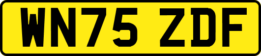 WN75ZDF