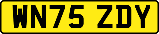 WN75ZDY